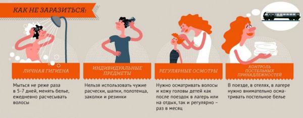 Профилактика вшей Профилактика вшей