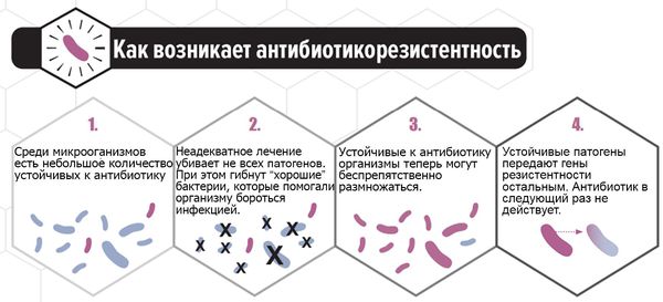 Возникновение устойчивости к антибиотикам