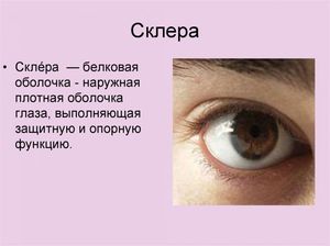Профилактика болезни